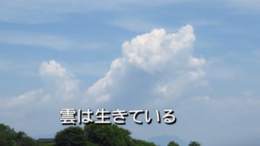 ◆　雲は生きている